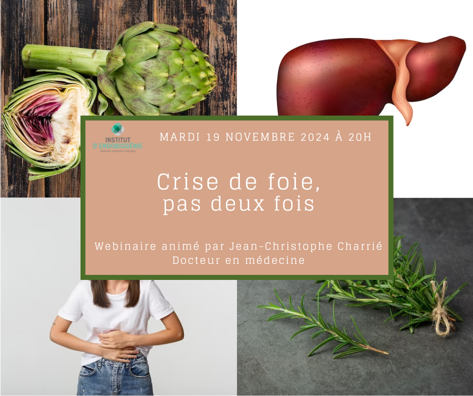 Webinaire endobiogénie novembre 2024 "Crise de foie, pas deux fois"