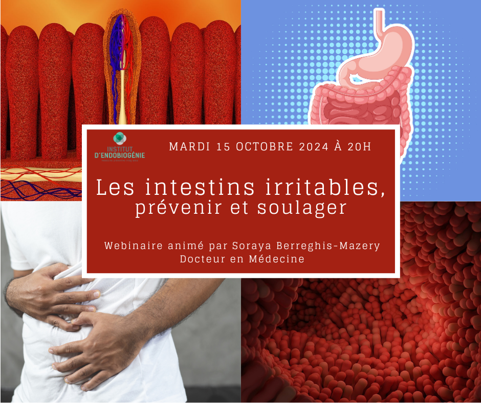 Webinaire endobiogénie octobre 2024 "Les intestins irritables, prévenir et soulager"